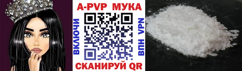 даркнет сайт  KRAKEN   A PVP СК КРИС  Старица 
