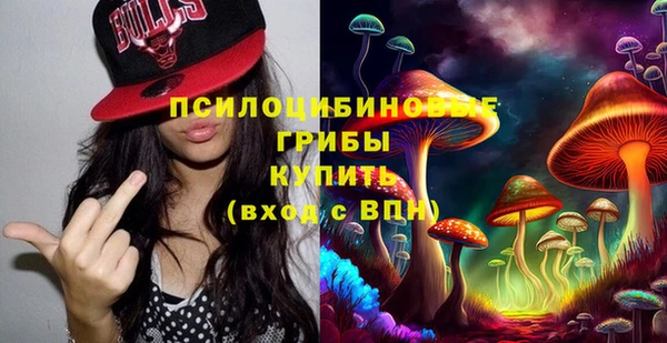 стаф Верхний Тагил