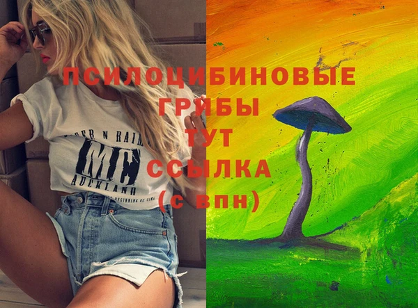 МДПВ Бугульма