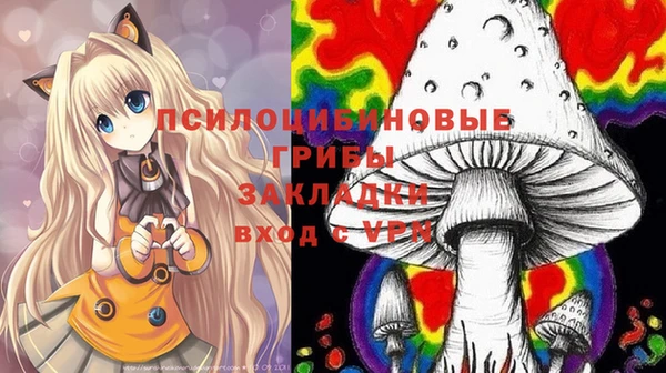 спайс Верея